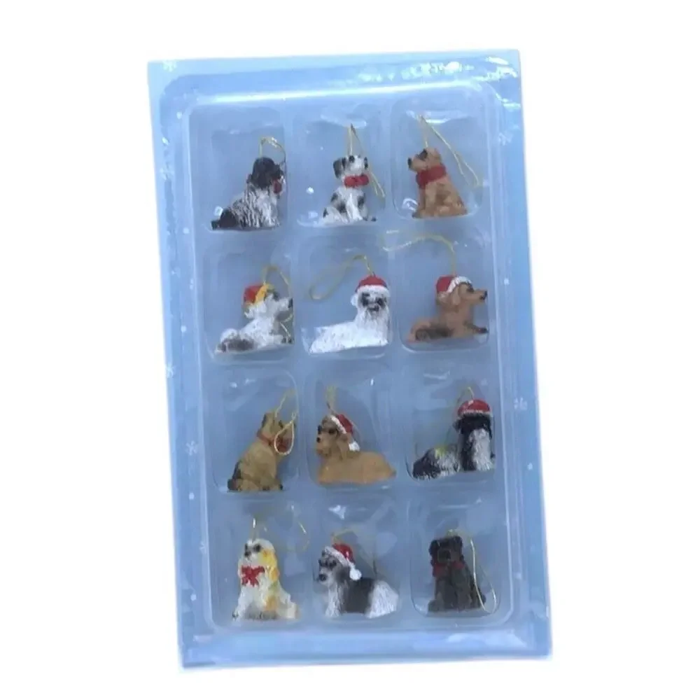 12 Mini 1